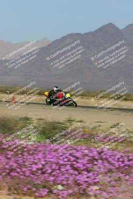 media/Feb-04-2023-SoCal Trackdays (Sat) [[8a776bf2c3]]/Turn 15 Inside Blooming (1050am)/